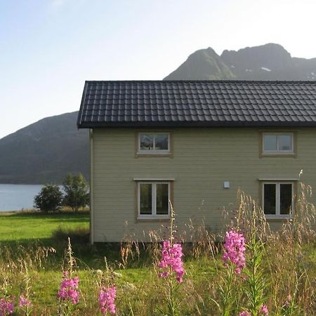 Charming House By The Sea, Lofoten! Laupstad エクステリア 写真
