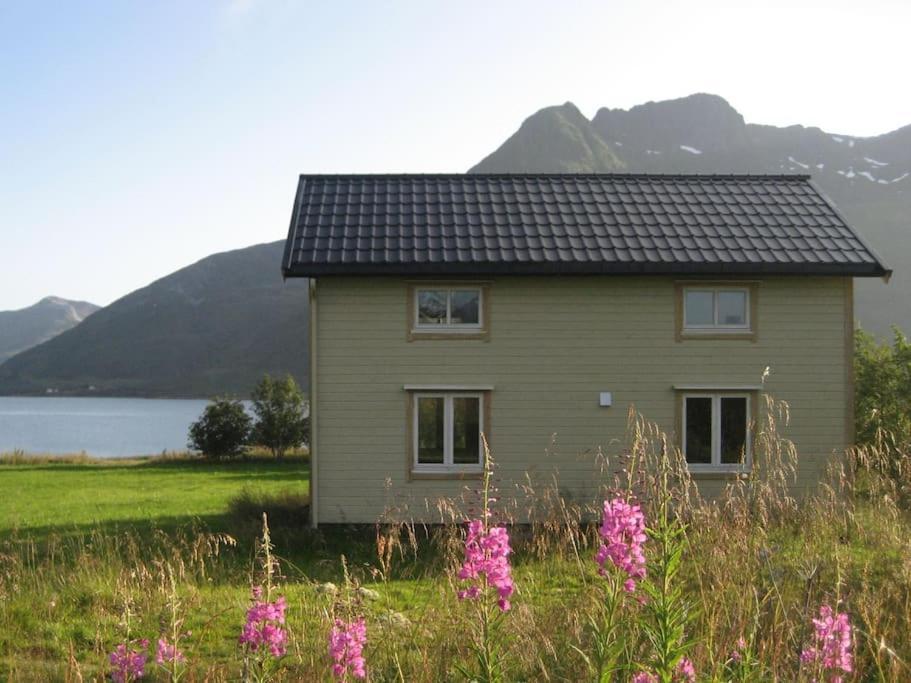 Charming House By The Sea, Lofoten! Laupstad エクステリア 写真