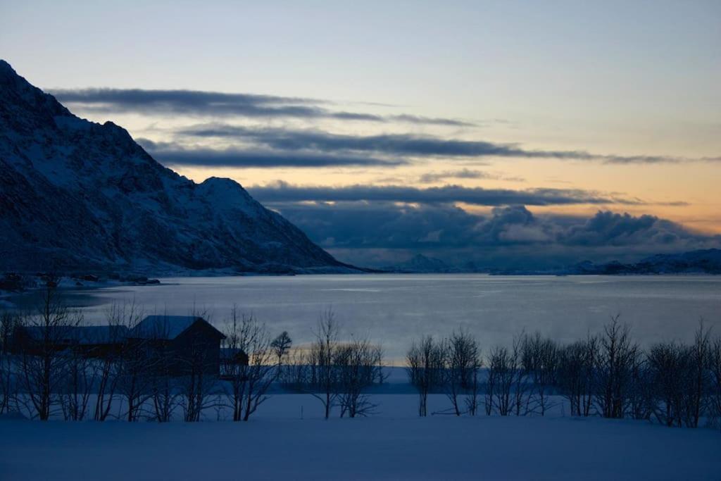 Charming House By The Sea, Lofoten! Laupstad エクステリア 写真