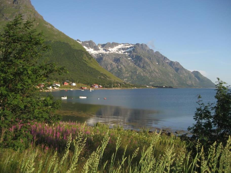 Charming House By The Sea, Lofoten! Laupstad エクステリア 写真
