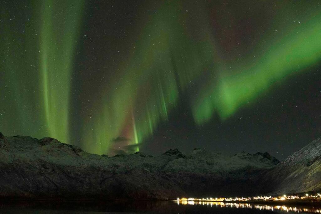Charming House By The Sea, Lofoten! Laupstad エクステリア 写真